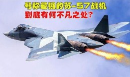 俄罗斯战机爆料视频,震撼爆料视频曝光